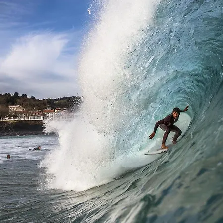 En Urdaibai 펜션 *