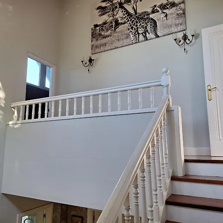 En Urdaibai Zelaieta